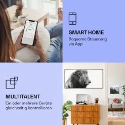 Wonderwall Air Art Smart Infrarotheizung Löwe 60x120cm 700W -Klarstein 10037925 de 0002 logo